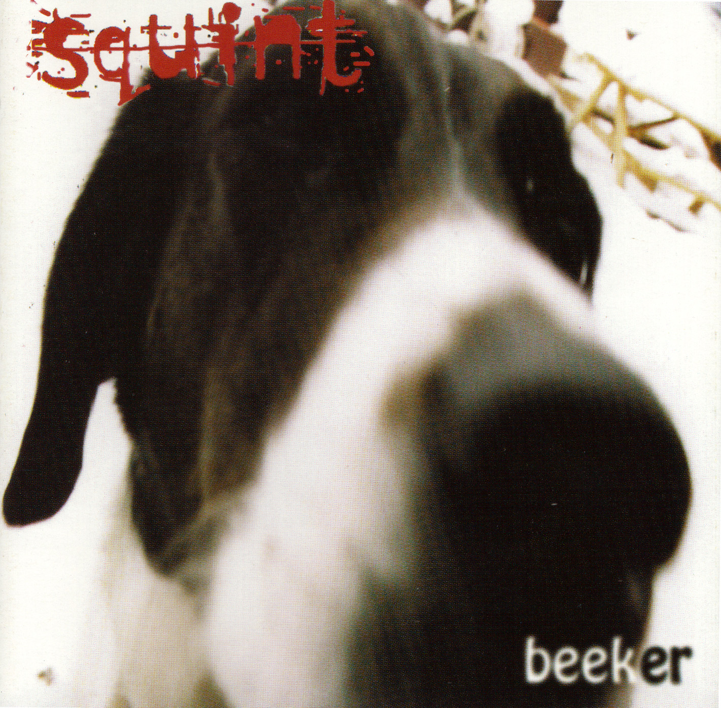 beeker